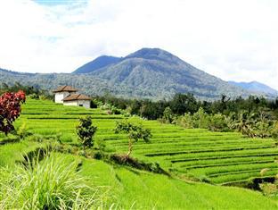 Batukaru Hotel Bali Kültér fotó